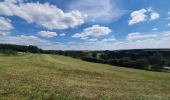 Tocht Stappen La Roche-en-Ardenne - rando warempage 13/07/2020 - Photo 8