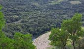 Randonnée Marche Roquebrun - Les ayrolles depuis Ceps - Photo 10