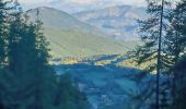 Tocht Stappen Montclar - SAINT JEAN MONTCLAR , forêt de Galisson , cabane de la Combe , o l m s  - Photo 5