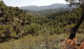 Tocht Stappen Los Guájares - Au dessus de Gujar Alto - Photo 1