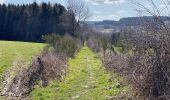 Tocht Stappen Manhay - Malempré Oster Aisne 24,5 km - Photo 18