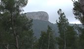 Excursión Senderismo Cassis - Cassis et Mont Gibaou - Photo 3