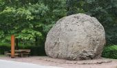 Tour Zu Fuß Strohn - HeimatSpur Lavaweg Strohn - Photo 1