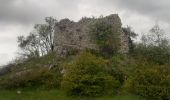 Randonnée Marche Saint-Jacques - SAINT JACQUES.  PRE DE SIROM .  ENTRE PUY , PIED MARCELLIN . Chateau plus haut , Chaudon , col de Chaudon ,  - Photo 4