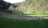 Percorso A piedi Wiesenttal - Rundwanderweg Romantischer Weg Muggendorf - Photo 5