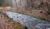 Trail On foot Steinbach am Wald - Buchbacher-Weg - Photo 3