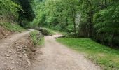 Tocht Stappen Bozouls - Le tour du trou de Bizoul - Photo 6