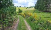 Trail Walking Vresse-sur-Semois - Allesur Semois 020625 - Photo 10