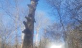 Trail Walking Chaudfontaine - petit tour dans le bois d Embourg - Photo 5