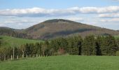 Tour Zu Fuß Willingen (Upland) - Upländer Pilgerweg 'Besinnungsweg Lebensspuren' - Photo 2