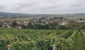 Tocht Stappen Saâcy-sur-Marne - 20240910 rando  - Photo 11