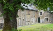 Tour Zu Fuß Bièvre - Se mouvoir et s'émouvoir au gré de l'Ardenne insoupçonnée. Parcours complet - Photo 9