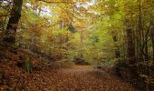 Percorso A piedi Hanstedt - Nordic Walking 6S Egestorf - Photo 1