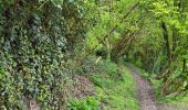 Trail Walking Dinant - Foy Notre Dame 250424 - Photo 18