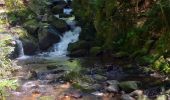 Randonnée Marche Le Val-d'Ajol -  cascade du gehard. girmont. corfaing; villerain - Photo 1