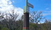 Tour Wandern Signes - Signes - L'éléphant de pierre - Photo 15