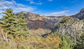 Trail Walking Estoublon - gorges de trevans sentier de valbonette - Photo 7