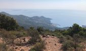 Excursión Senderismo Saint-Raphaël - Les Grues depuis Belle-Barbe - Photo 2