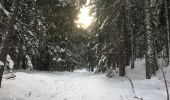 Tocht Sneeuwschoenen Orsières - Champex Lac - Belvédère - Champex Lac - Photo 13