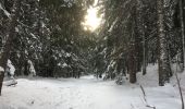 Tour Schneeschuhwandern Orsières - Champex Lac - Belvédère - Champex Lac - Photo 13