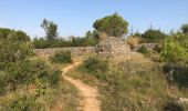 Excursión Senderismo Conques-sur-Orbiel - Mur_aribaud_capitelles_réel - Photo 16