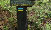 Tour Wandern Saint-Hilaire-Cusson-la-Valmitte - Saint Hilaire -Cusson la Valmitte  - Photo 18