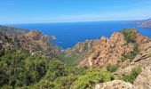 Excursión Senderismo Piana - tour des châtaigniers de palani - Photo 3