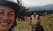 Trail Horseback riding Plainfaing - Acpl plainfaing le groube  - Photo 5