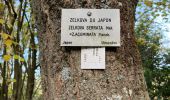 Tour Wandern Le Chesnay-Rocquencourt - Arboretum de Chevreloup - Photo 1