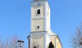 Randonnée A pied Gemeinde Sulz im Weinviertel - Wanderung rund um die Nexinger Teiche - Photo 8