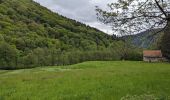 Tocht Stappen Sondernach - 2023-05-19 WE Marche Bivouac Massif du Hohneck - Photo 13