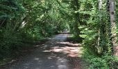 Tocht Stappen Gisors - Gisors voie verte jusqu'à Beausséré - Photo 7