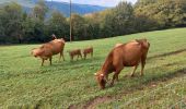 Trail Walking Estaing - Estaing / Golinhac - Photo 1