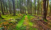 Trail Walking Beauraing - Balade dans la forêt de Felenne-Beauraing - Photo 12