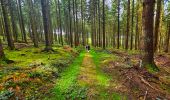 Tocht Stappen Beauraing - Balade dans la forêt de Felenne-Beauraing - Photo 12