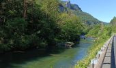 Trail Electric bike Millau - Millau gorges de la Dourbie - Photo 14