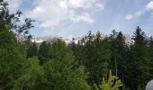 Tocht Stappen Chamonix-Mont-Blanc - les tiens par Les Praz de Chamonix et Les bois - Photo 8