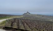 Percorso Marcia Verzy - Entre Faux et Vignes - Photo 3