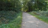 Trail Walking Houppeville - 2023-09-09_18h54m19_activity_la_breteque_2VAUbDmYip1bXIXdp2Rh75Nga7h - Photo 7