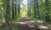 Trail Mountain bike Soignies - VTT_Boucle Casteau - Le Roeulx (39km) - Photo 9