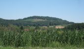 Tocht Te voet Ludwigsburg - DE-SAV Rotes Kreuz, Lemberg-Poppenweiler - Photo 7