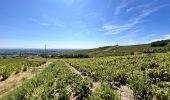 Tour Wandern Chénas - Chénas - Le Venet - Photo 4