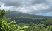 Tour  Le Morne-Rouge - Sainte Cécile/crête du Cournan/Beauvallon  - Photo 12