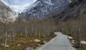 Trail Walking Unknown - Briksdal glacier  - Photo 9