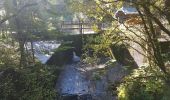 Trail Walking Schramberg - Schramberg - Châteaux de Falkenstein et de Hohenschramberg - Photo 16