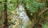 Tour Wandern Buoux - Buoux - Sivergues - Aigue brun - Photo 1