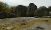Tour Wandern Toulx-Sainte-Croix - les pierres jaumatres (Toulx st croix) - Photo 5