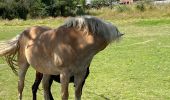 Trail Walking Rochefort - Jambline  - Photo 2