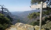 Randonnée Marche Manso - Col de Capronale - Photo 1