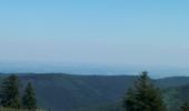 Trail Walking Grendelbruch - Le Piton du Falkenstein - Photo 3
